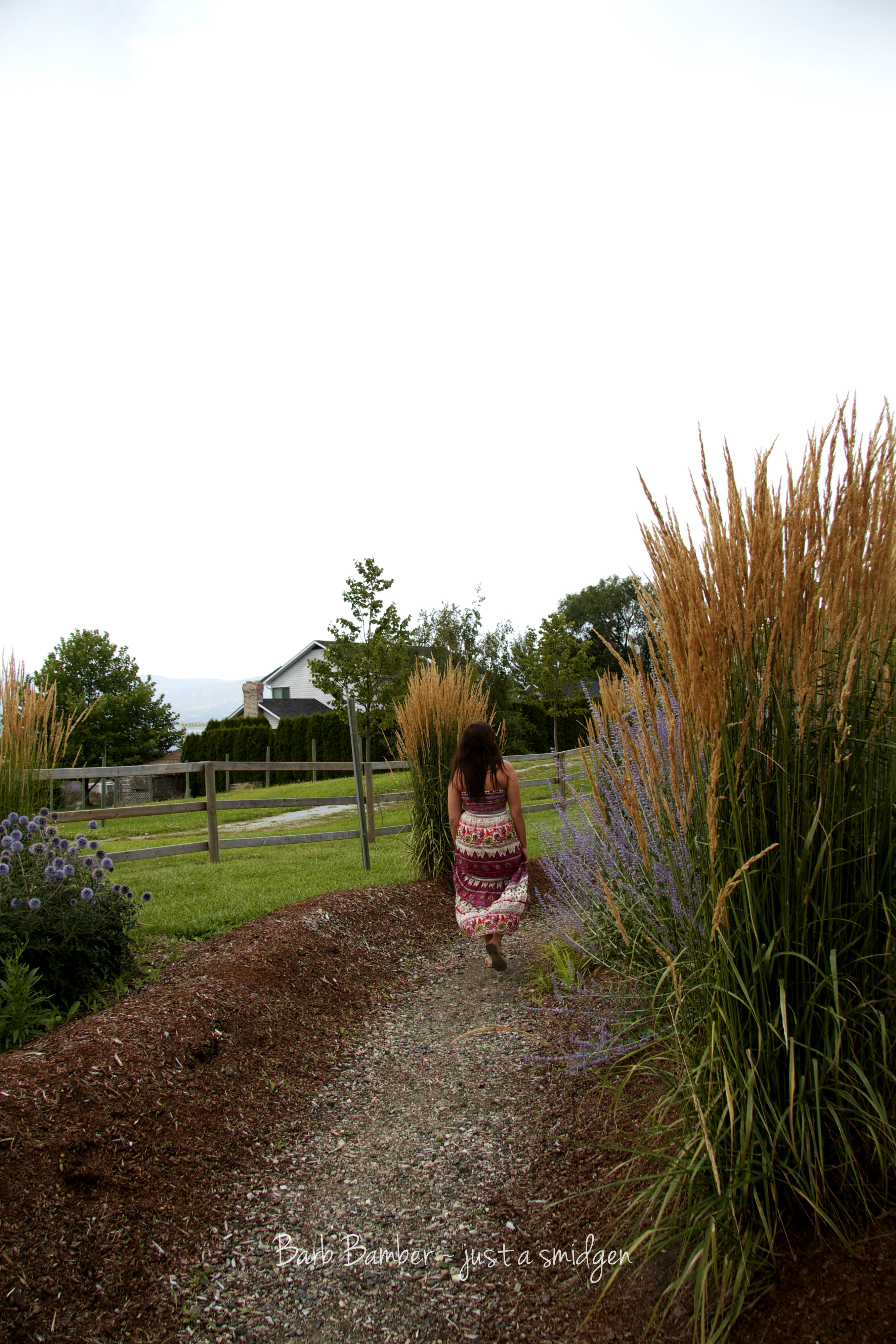 Katie on the Lavender Path